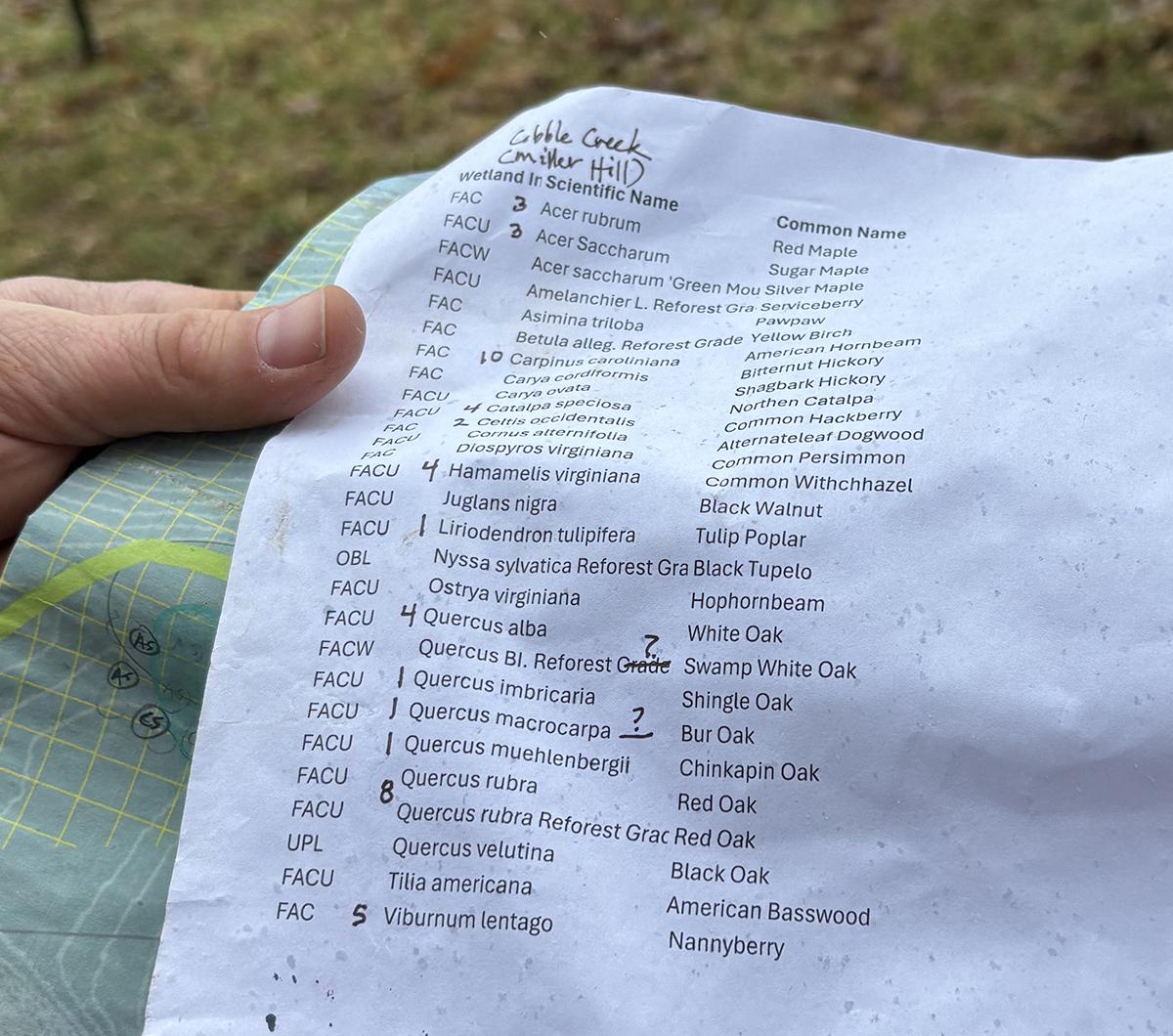 hand holding a paper list of tree species planted