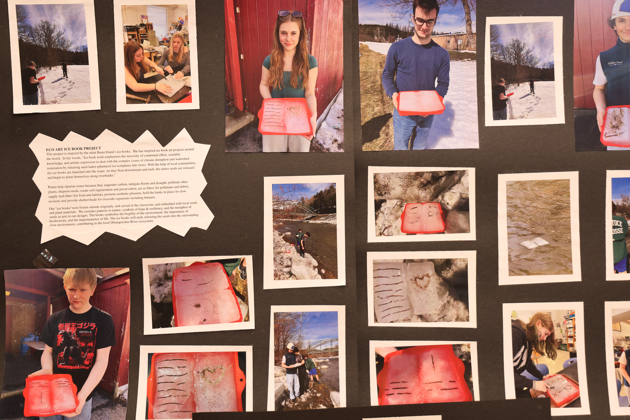 A posterboard displaying various images of students holding frozen books made of ice