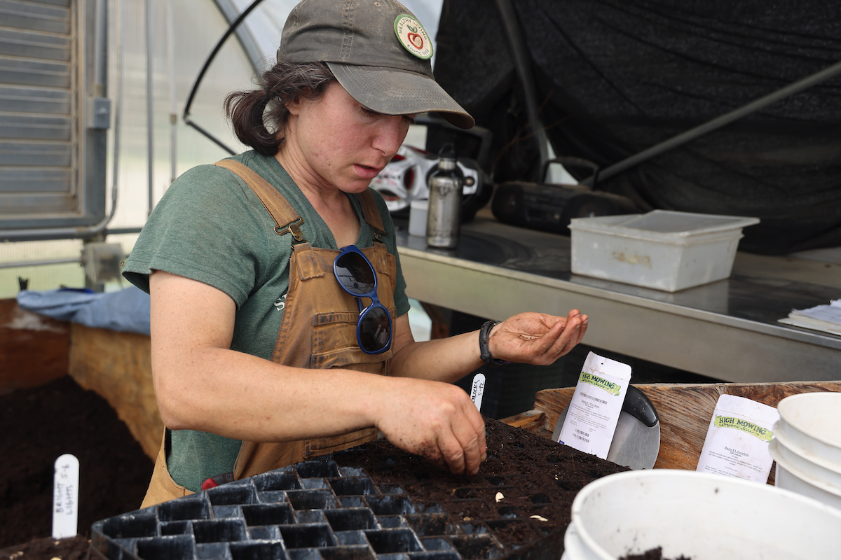 In a greenhouse, woman in overalls and cap holds seeds in left hand, and places zucchini seeds in soil in a seed tray with her right hand
