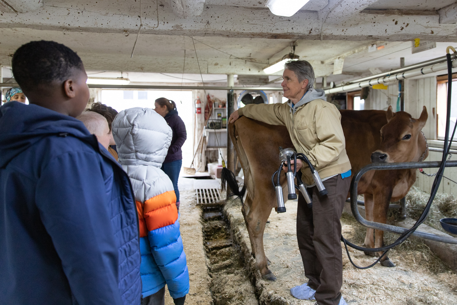 Farmer and Owner Linda Stanley introduces the students to Pez, a member of the milking herd, and explains how the milking equipment works.