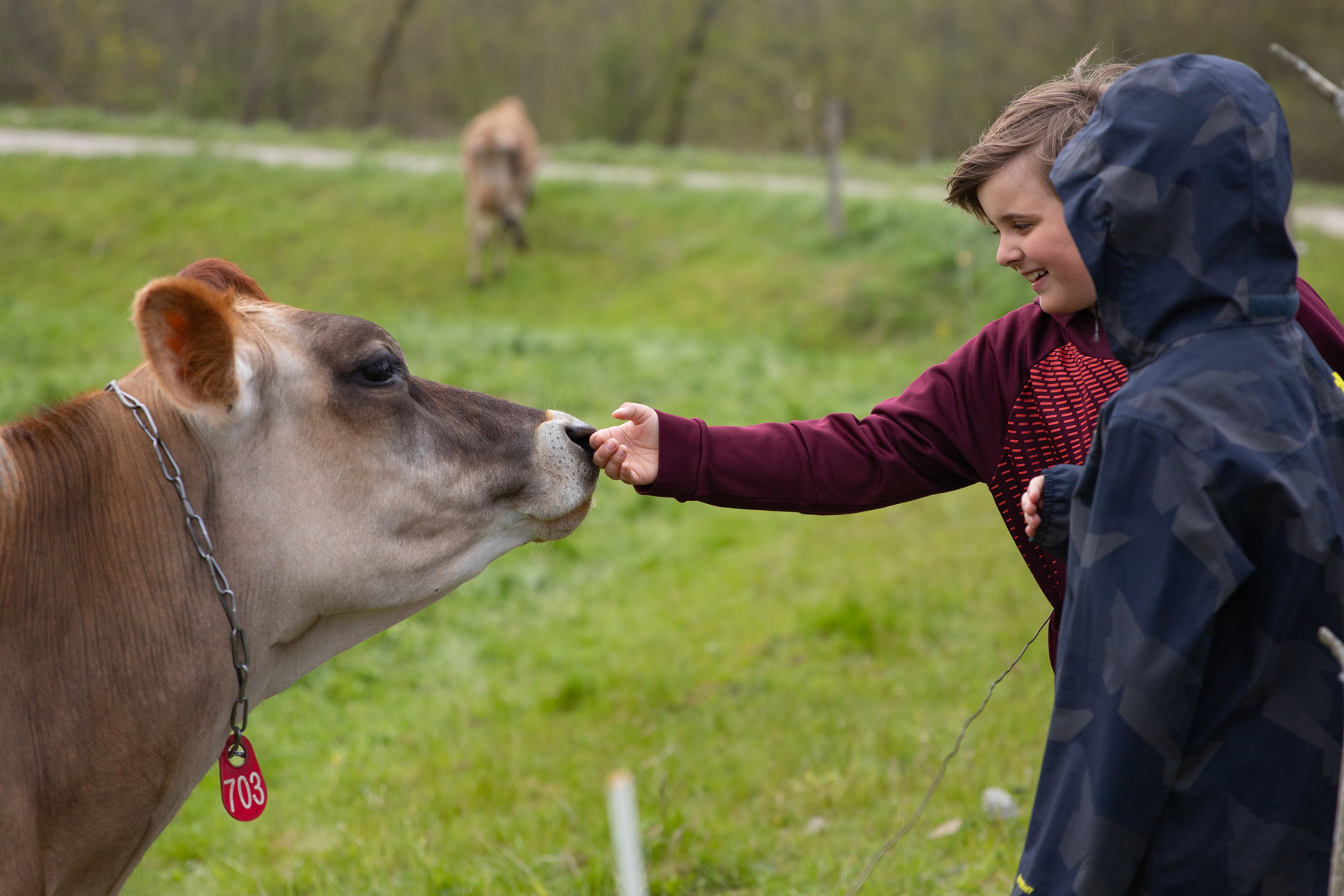 Students get up close with one of the Jersey cows. The Dairy in the Classroom program teaches students to appreciate the animals and farmers that give us so much.