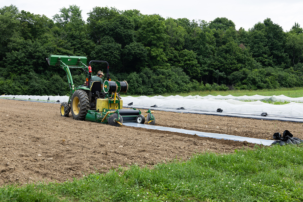 Man drives tractor pulling narrow sheet of plastic across a freshly plowed field.
