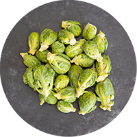 Brussels sprouts on a gray slate background