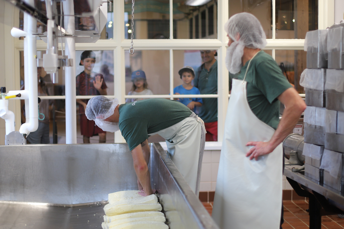 Two men making cheddar while a visiting boy watches through a viewing window.