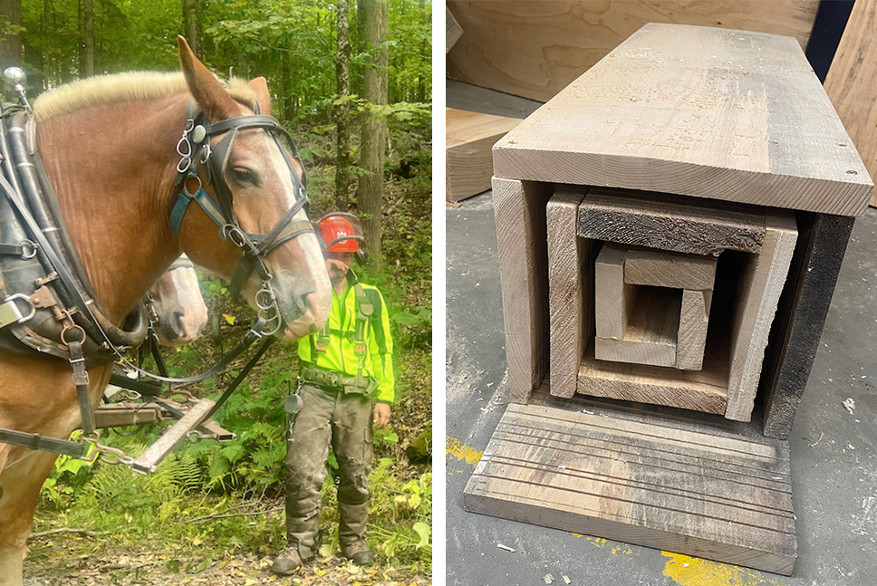 A person in reflective gear watches horses logging trees in forest; a closeup of a bat box interior