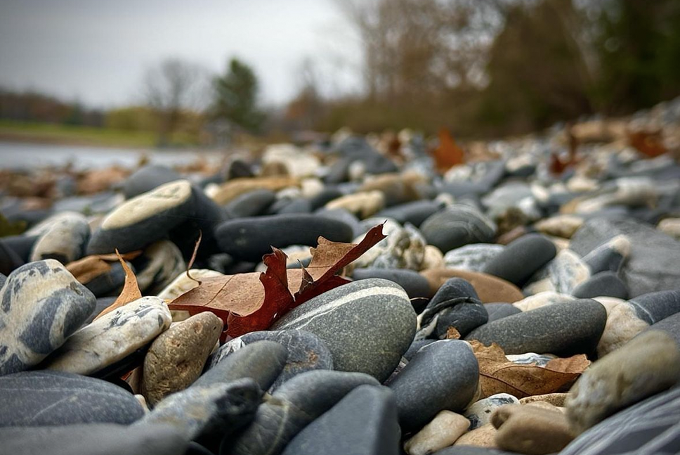 close up of stones on the beach of Lake Champlain