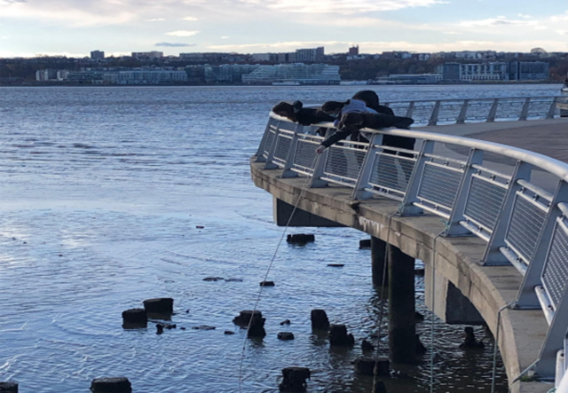 Students stand on a dock over the East River, pulling up a trap from the water