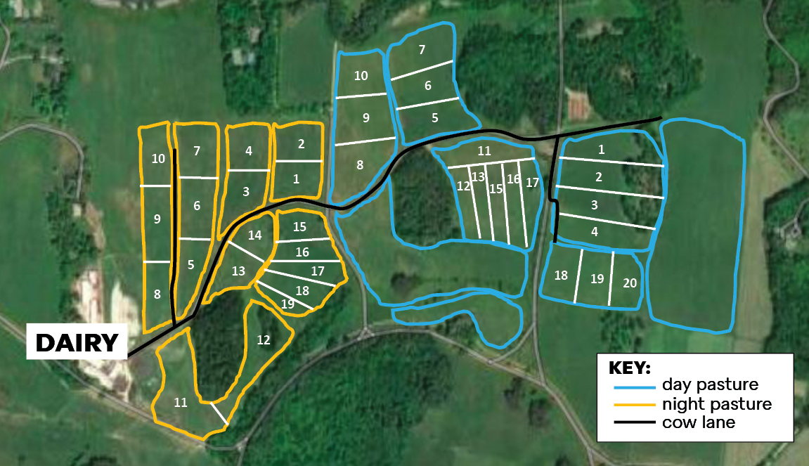 aerial photo of pastures with added lines to show how pastures are divided for grazing