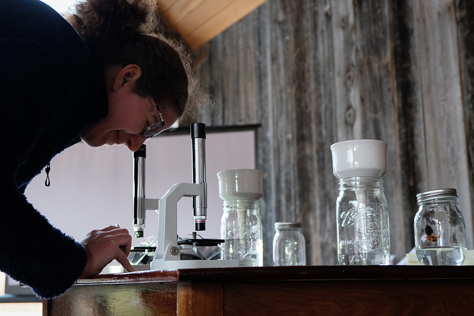 A person looks through a small microscope on a table with jars and filters