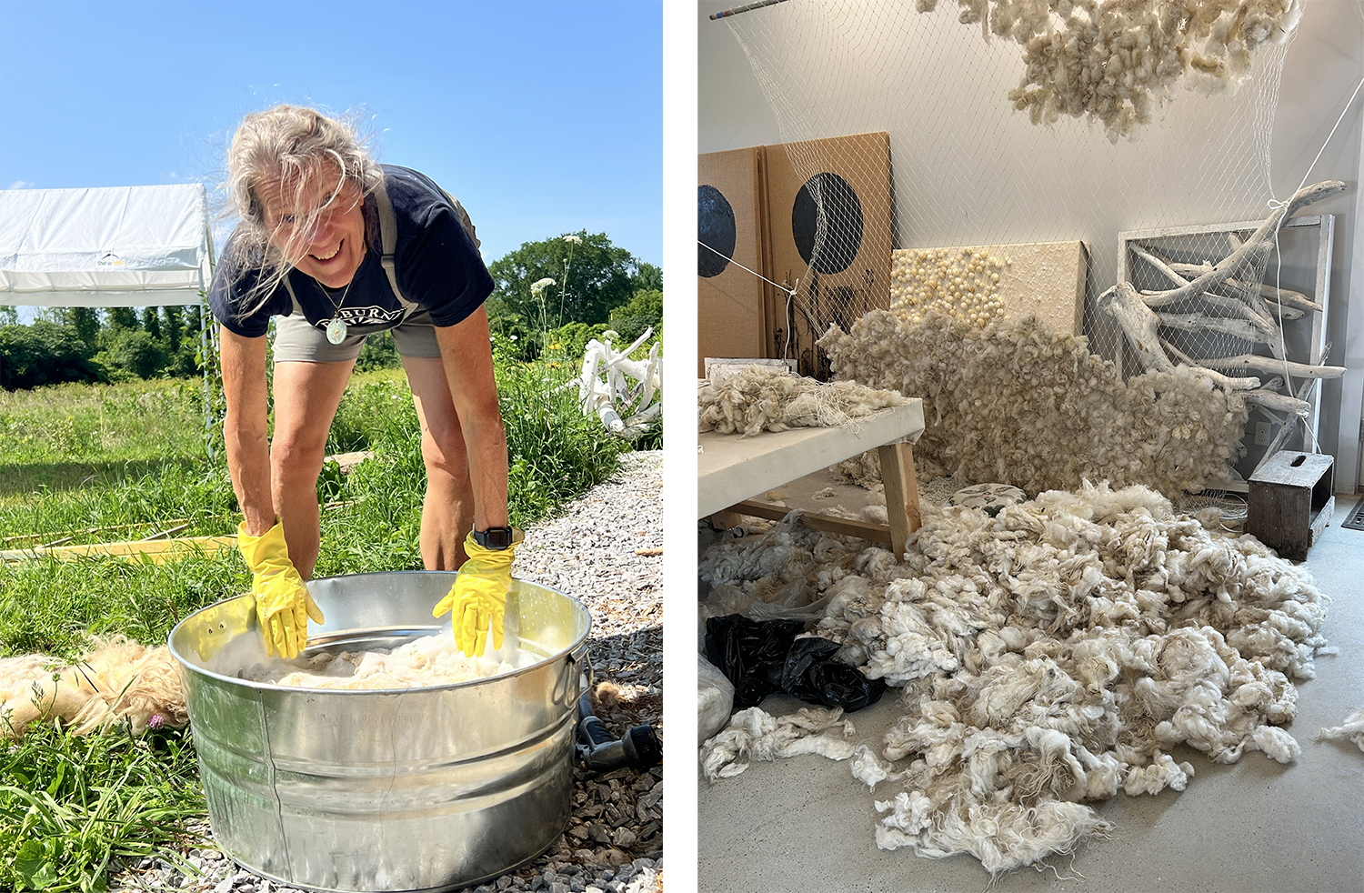 first photo: woman with graying hair in yellow cleaning gloves looks up at camera while bending ove a metal washtubfilled with wool and soap. Second image: lots of tufts of wool on the floor of a studio, some of it having been tied to a web of line hanging behind.