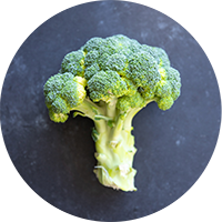 a head of broccoli on gray slate background