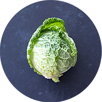 savoy cabbage on gray slate background