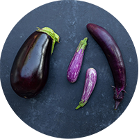 eggplants on a slate background