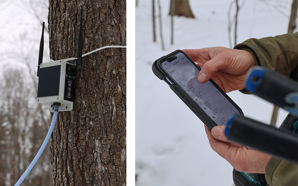 two photos: the first shows a small gray and black box strapped to a tree with tubing coming out the bottom. the second shows hands holding a phone displaying data