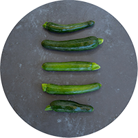 small green zucchini lined up on a gray background