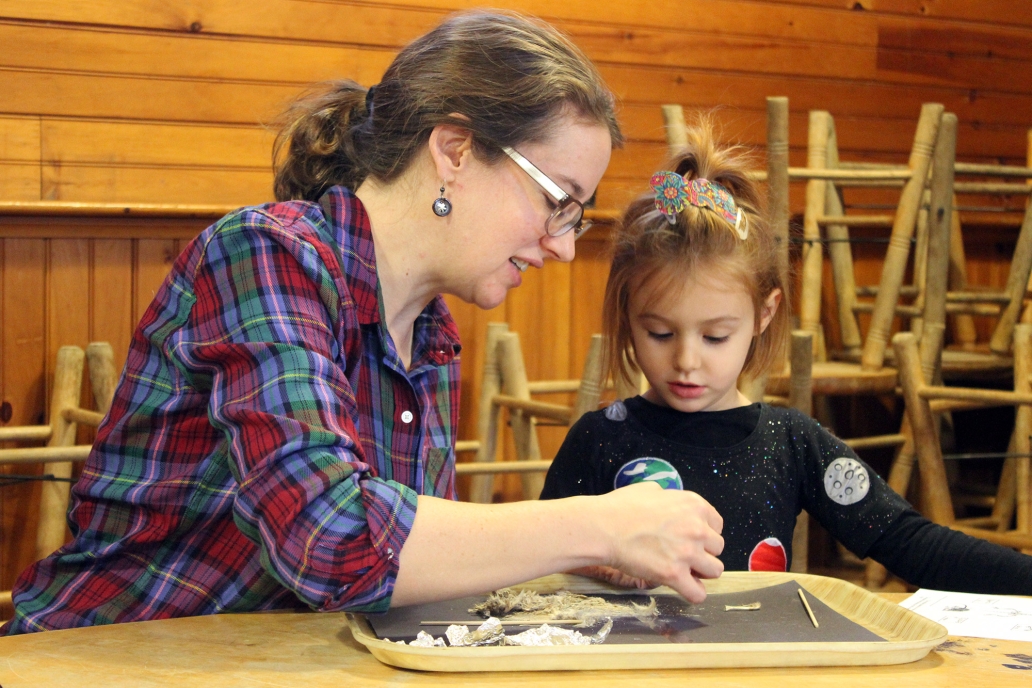 owl pellet dissecting 