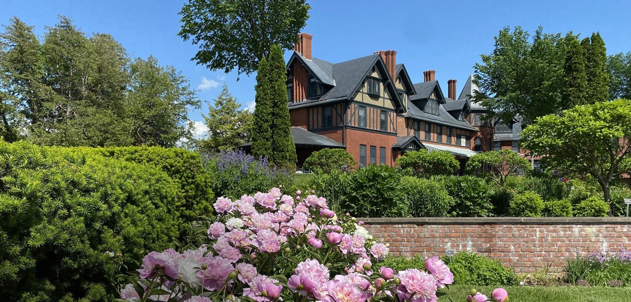 Inn in background; peonies in foreground