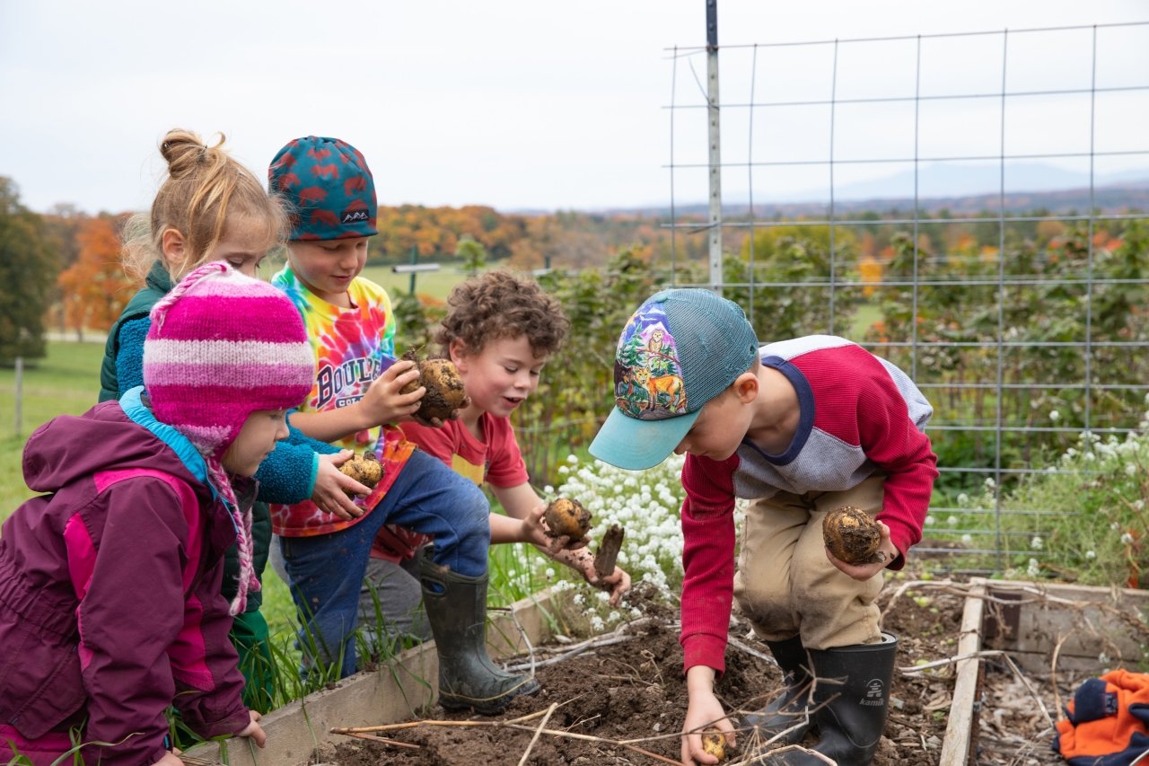 Five children outdoors, digging and examining potatoes in a garden with a scenic landscape in the background.