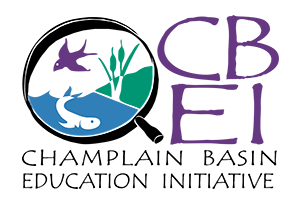 CBEI Logo