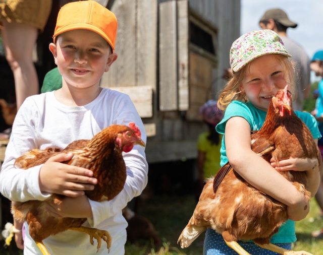 Kids in the Children's Farmyard