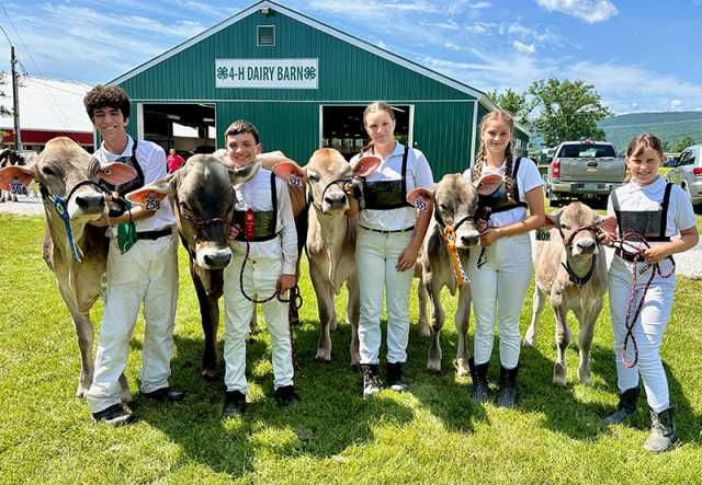 A group of young people in white uniforms pose with brown cows in front of a barn