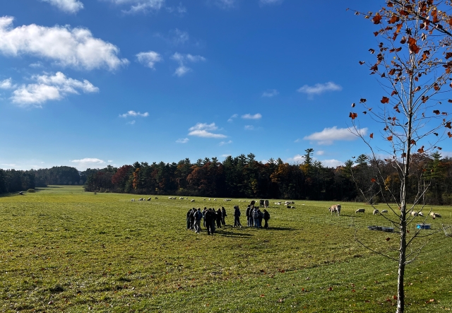 Group of students in a green field under a blue sky.