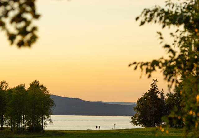 a golden sunset sky behind a lake, with branches and trees silhouetted and two people walking by lake