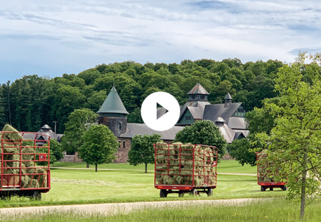 hay is carried on wagons