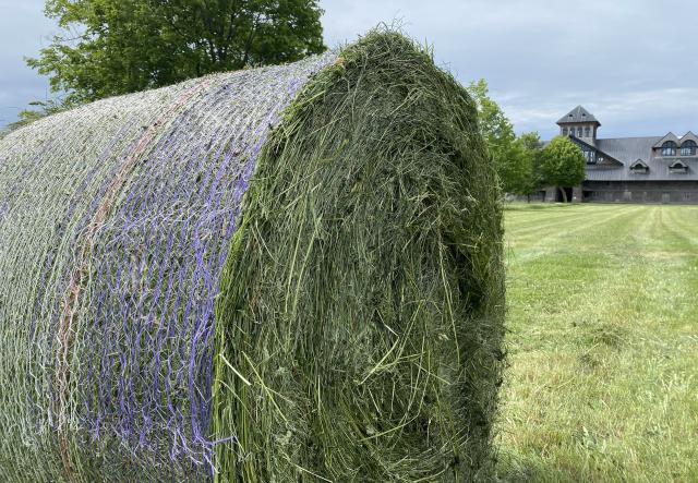 Round bale of hay