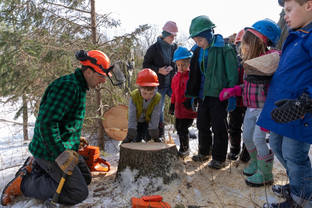 kids looking at fallen tree