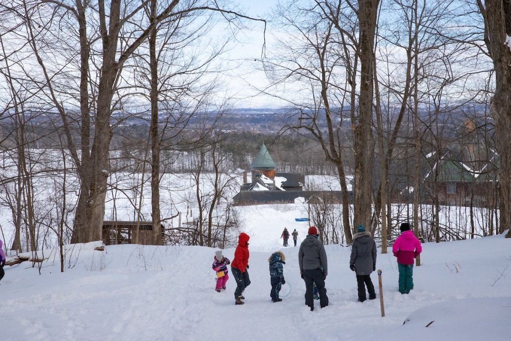 Winter walk in the sugarbush