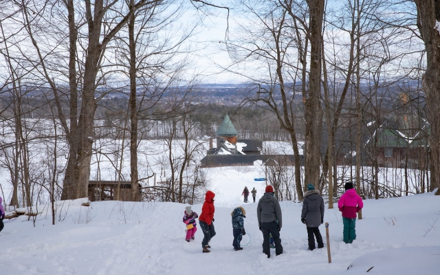 Winter walk in the sugarbush