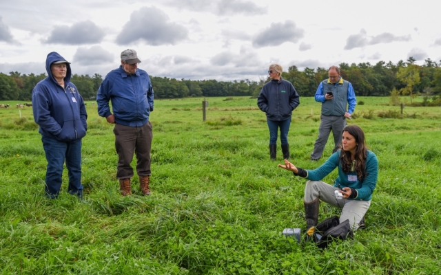 Four adults talk in a grassy pasture