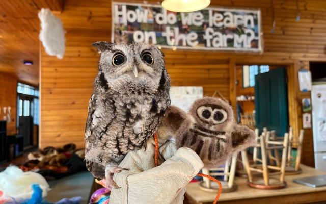Ansel with felted owl