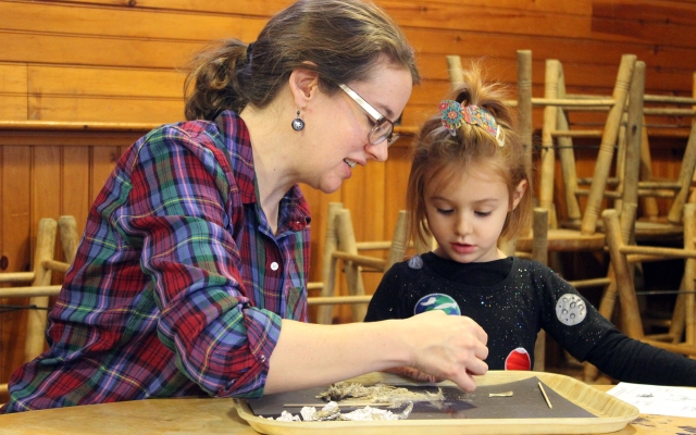 owl pellet dissecting 