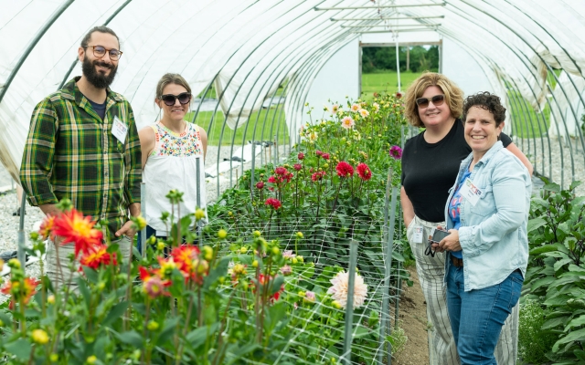 Four adult stand together in a garden hoop house with dahlias.
