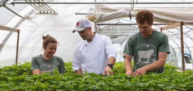 Chef with gardeners in hoop house tending plants