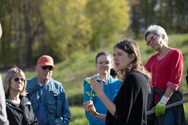 Katherine Elmer of Spoonful Herbals shows program participants how to harvest nettles.