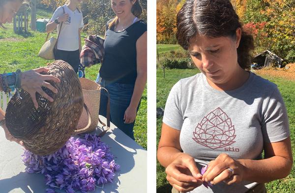 Teacher Janis Boulbol with students at Vermont saffron farm harvest