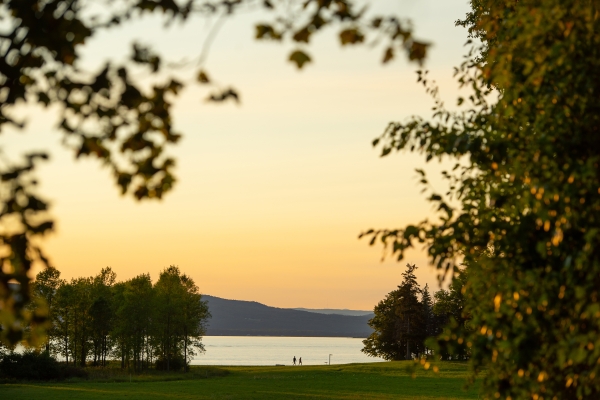 Sunset at Shelburne Farms, seen through trees