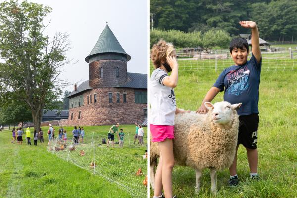 Winooski students visiting the chickens and sheep in the farmyard.