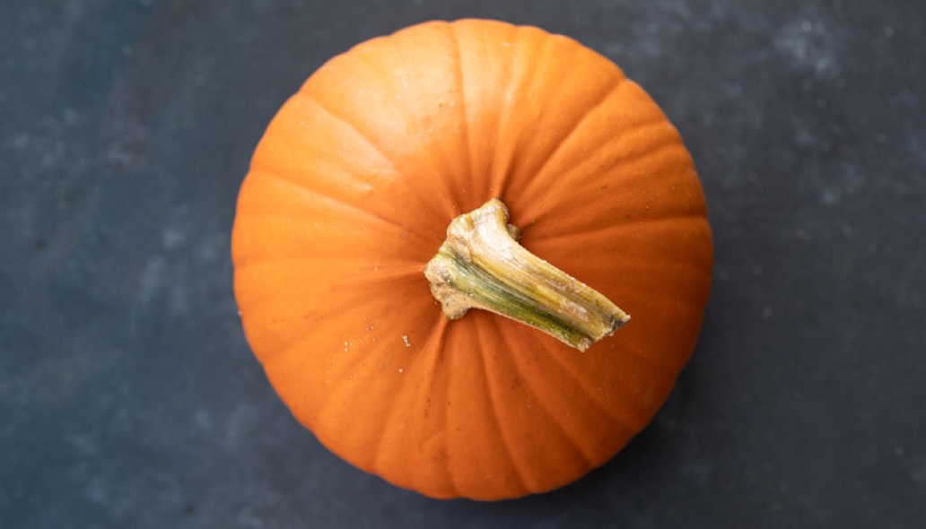 photo of pumpkin
