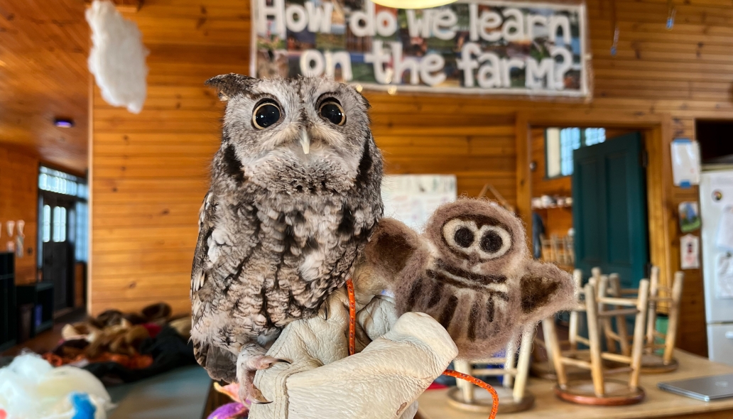 Ansel with felted owl