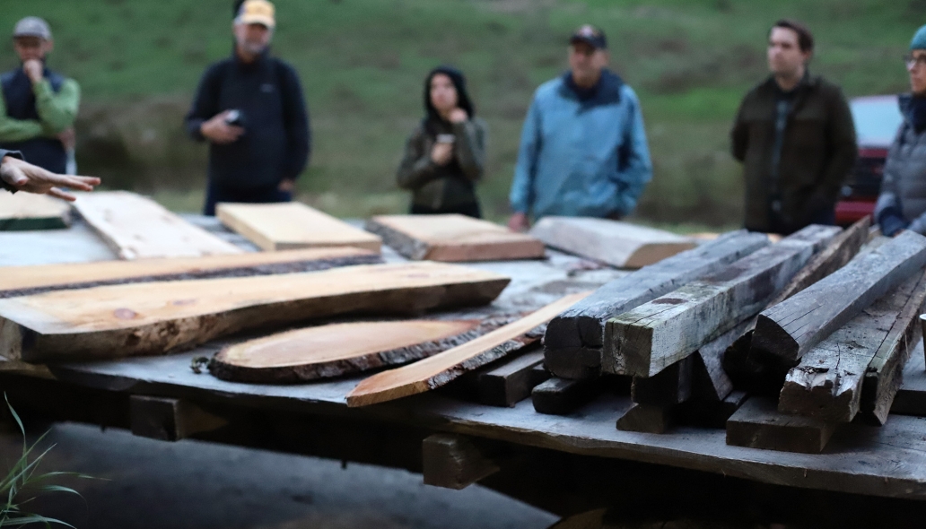 people looking at wood for building