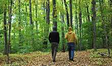 two people walking on path in woods with tall trees, heading away from camera